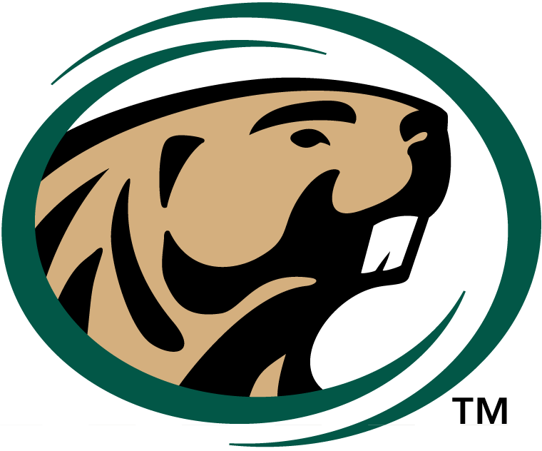 Bemidji State Beavers 2004-Pres Primary Logo diy iron on heat transfer